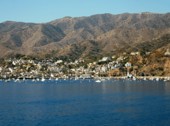 catalina cruise deals mexican cruise deals long beach cruises california