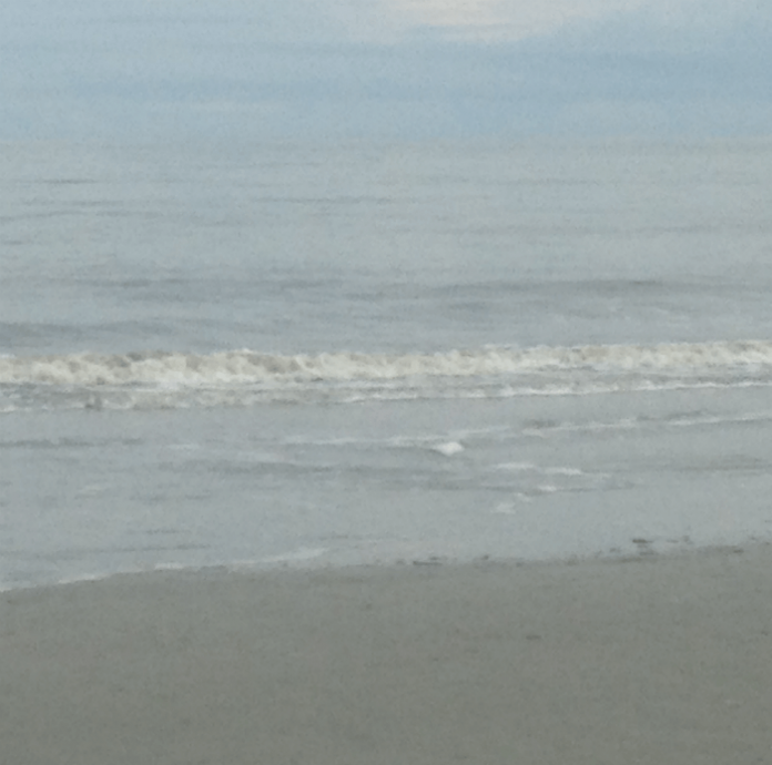 Hilton Head Island Vacation Tybee Island Tours Daufuskie Island Trips Cockspur Island Deals