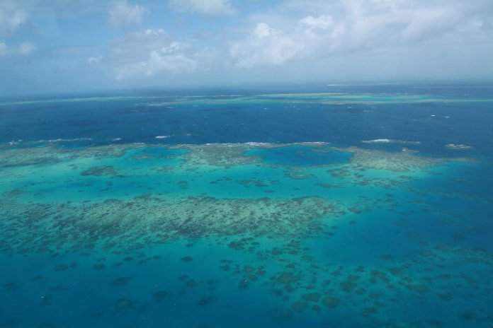 Cairns Australia trip savings bunjy jump see great barrier real coral sea