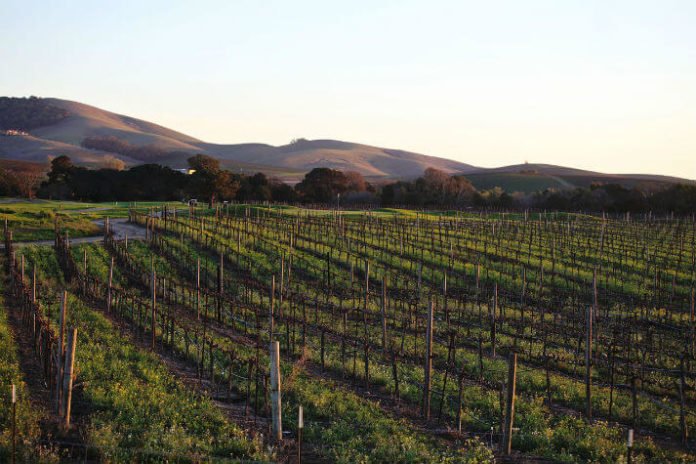 Discounted stay at Ivy Hotel Napa Valley wine tasting passes California trip deal