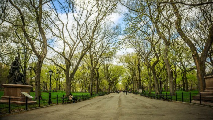 20% off Central Park Manhattan pedicab tour