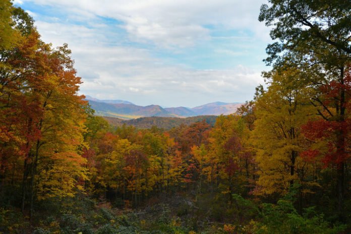 Quality Inn Gatlinburg Tennessee hotel savings