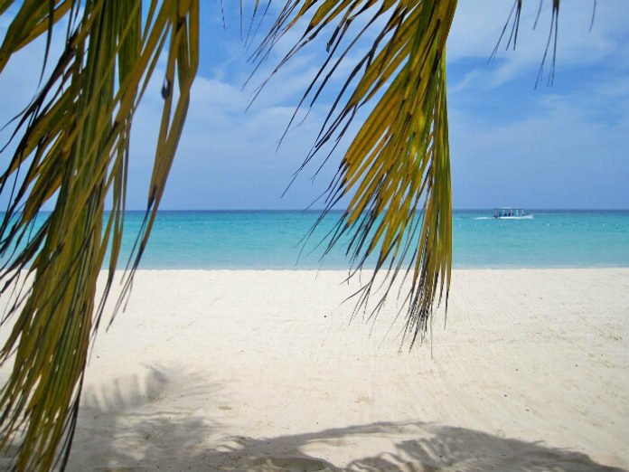 Half off Hyatt Zilara Rose Hall in Montego Bay Jamaica
