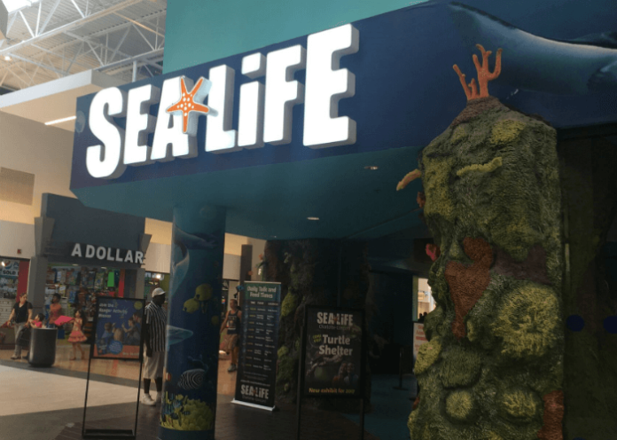 Promo code for SeaLife Charlotte Concord