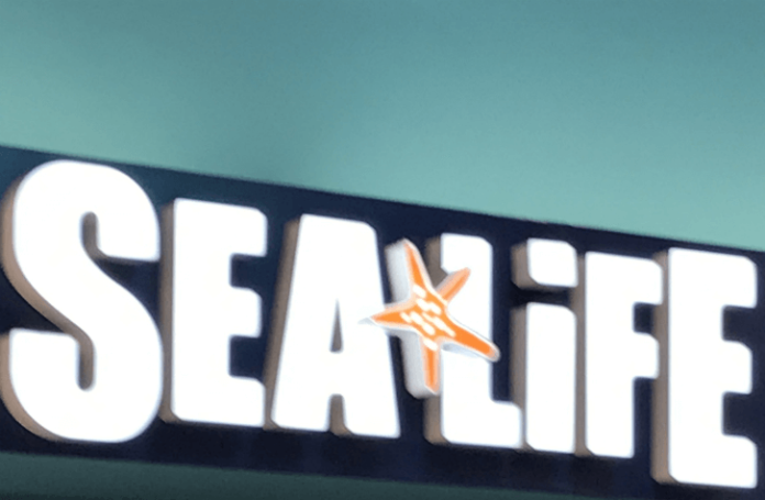 Unlimited visits & discounted prices for Sea Life Grapevine Mils texas