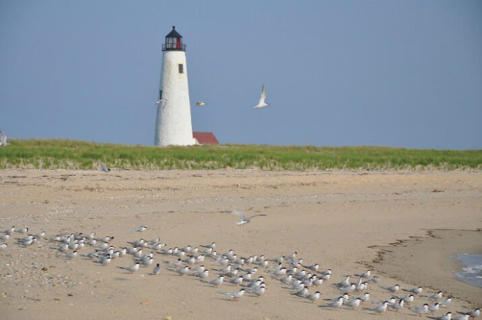 Win free stay at Cottages at Nantucket Boat Basin