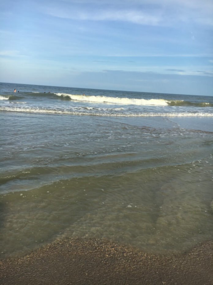 Amelia Island Beach Florida Coast