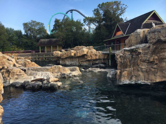 BOGO sale Busch Gardens Tampa SeaWorld Orlando in Florida