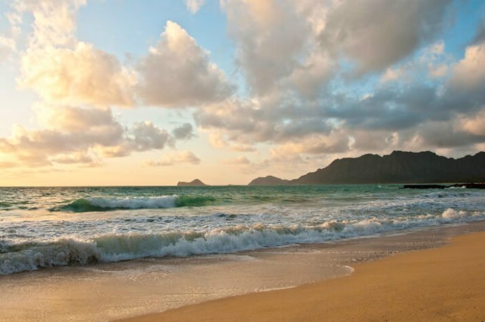 Win a free vacation to Oahu Hawaii