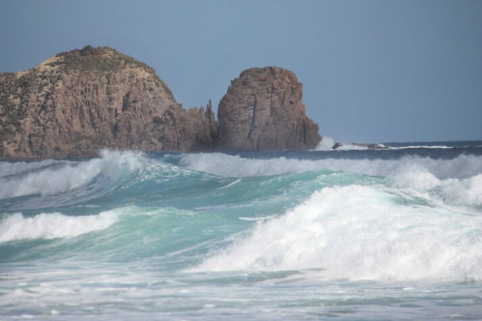 Phillips Island penguin tour out of Melbourne half off