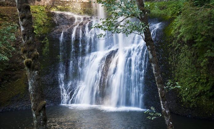 Discounted Willamette Valley Wine & Waterfalls Tour in Oregon leave from Portland