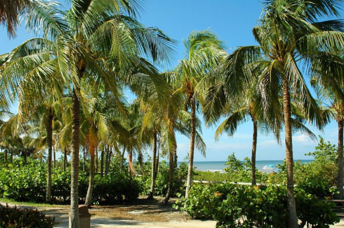 Win trip to Key West Florida Sweepstakes airfare stay at Hyatt Key West