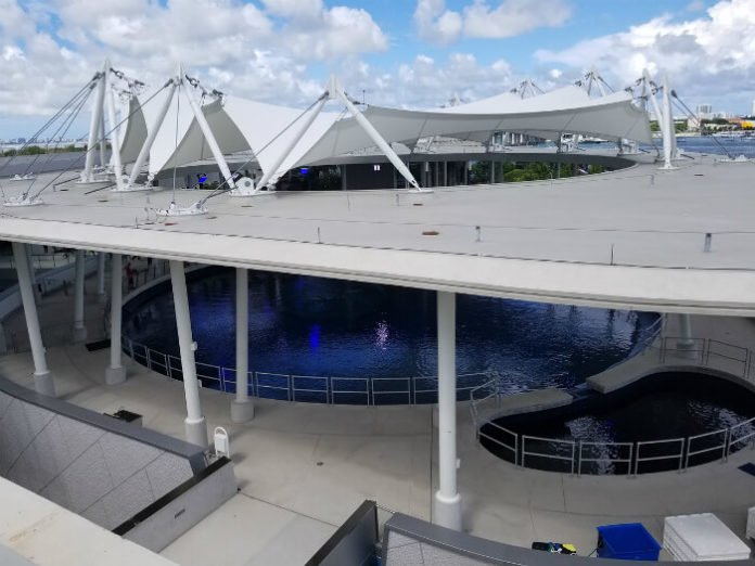 Save money with Big Bus Miami tour Frost Museum Seaquarium Jungle Island South Beach