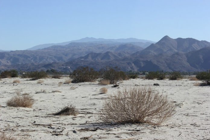 Discount price for Nightwatch Stargazing Jeep Desert Eco Tour from Palm Springs