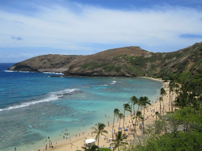 Win a free trip to Hawaii through Alaska Airlines free roundtrip airfare hotel car rental