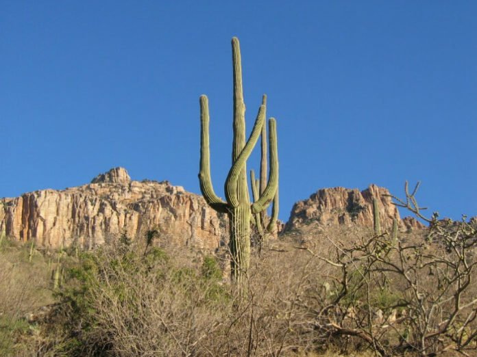 Hampton Inn Tuscon Sabino Canyon tram tour package deal savings