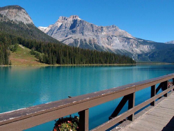 Discounted price for Canadian Rockies tour starting in Calgary Alberta