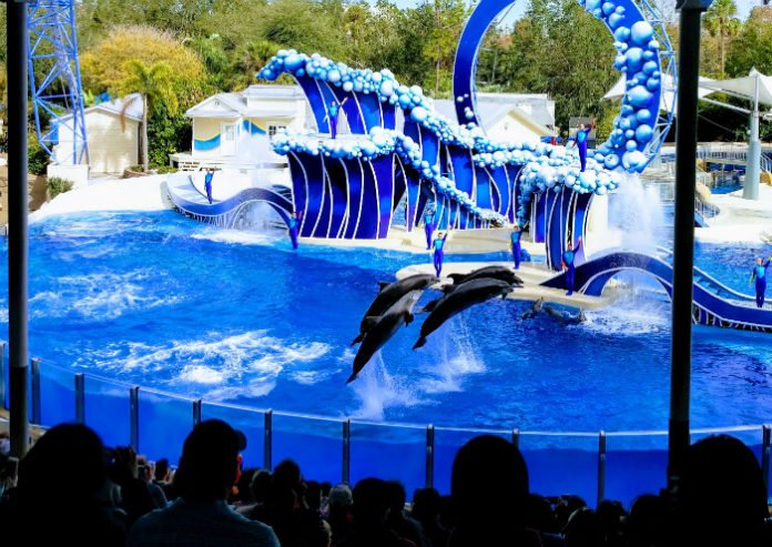 SeaWorld Aquatica Orlando Busch Gardens Adventure Island Tampa discounted tickets