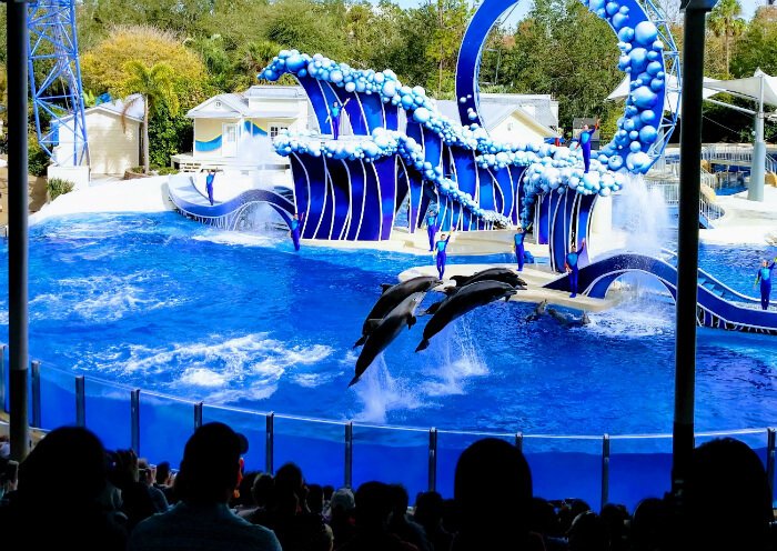 Save Up To 71 On Seaworld Orlando Busch Gardens Tampa Tickets