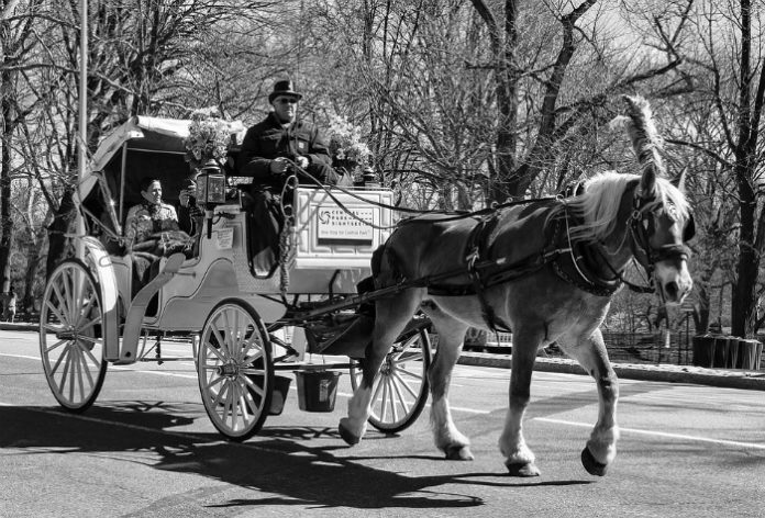 Top 3 Valentine's Day activities in New York City horse & carriage ride jazz concert dinner cruise