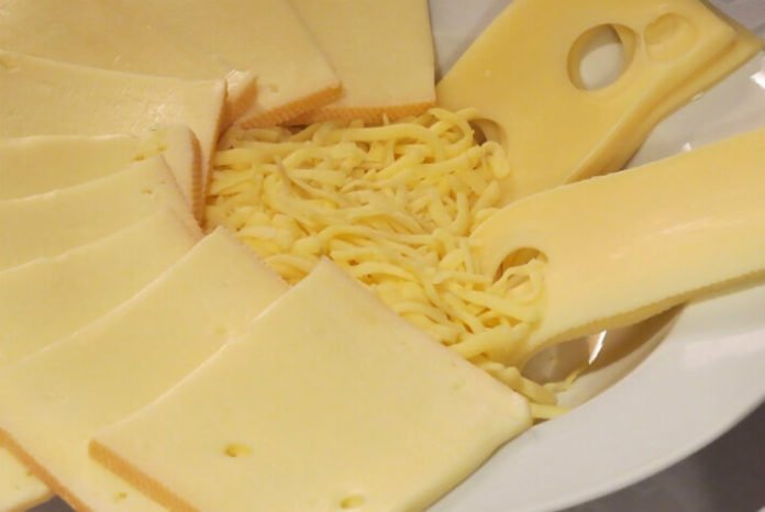 Save money on Chicago Cheese Fest discounted tickets