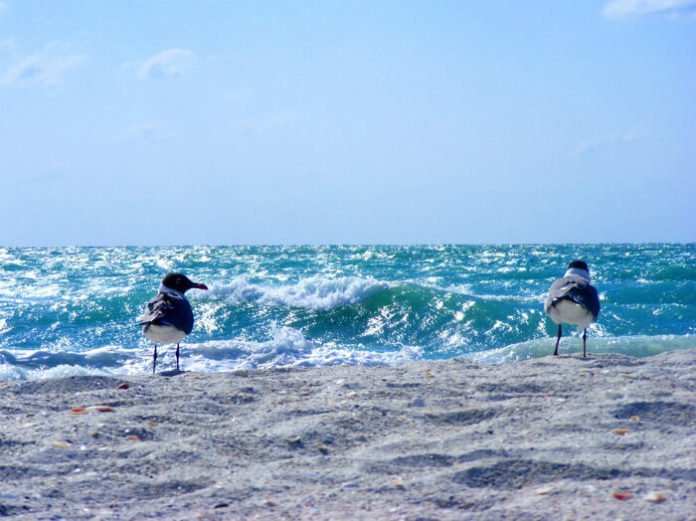 Sanibel Island Florida sweepstakes win free trip