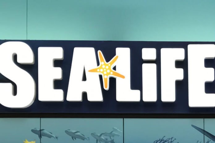 Use promotional code to save money on SEA LIFE Minnesota in Twin Cities