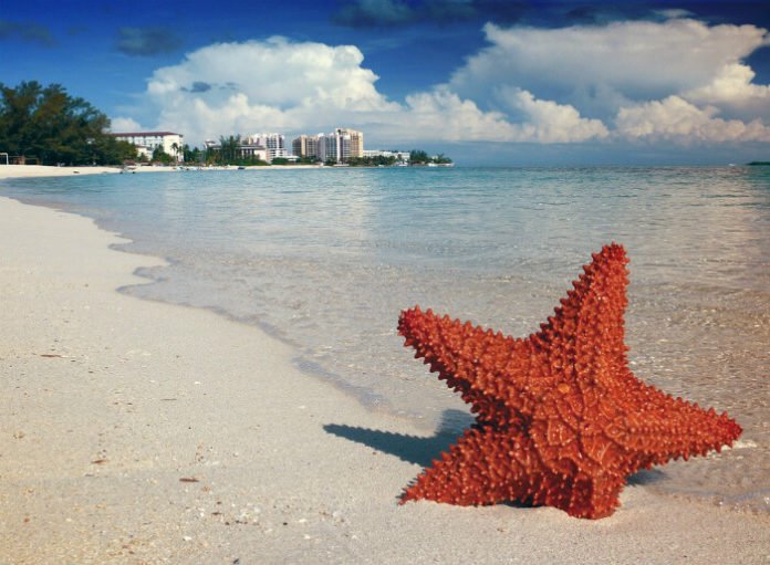 Cheap international flights to Nassau Haana San Jose Orlando NYC