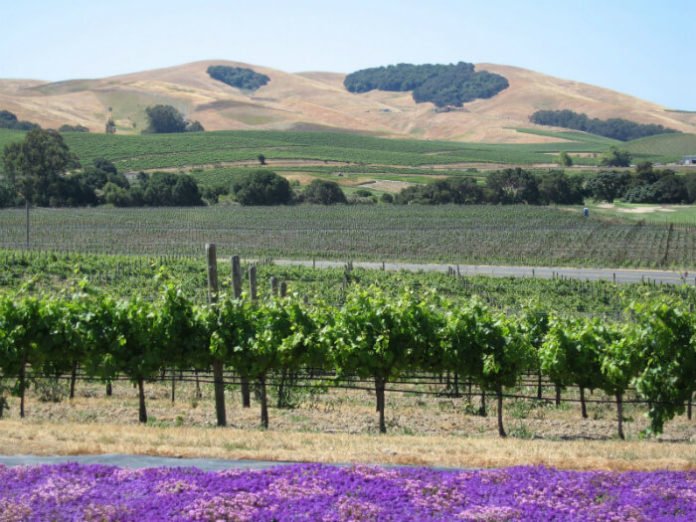 Culinary Institute of America cooking boot camp & trip to Napa Valley sweepstakes