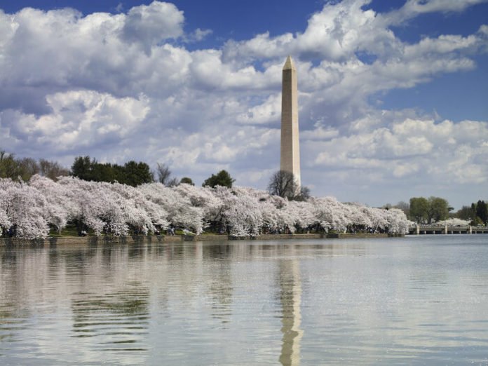 Washington DC Potomac River cruise discount price springtime