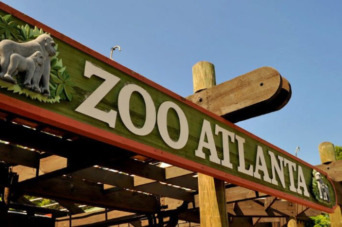 Save money at Easter festivities at Zoo Atlanta in Georgia