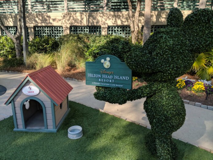 Mickey shrubbery outside Disney's Hilton Head Island Resort South Carolina