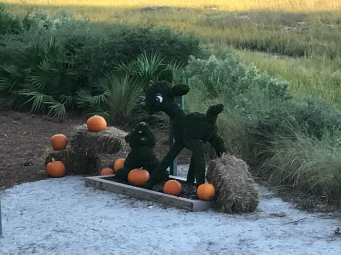 Bambi shrubbery outside Disney's Hilton Head Island Resort