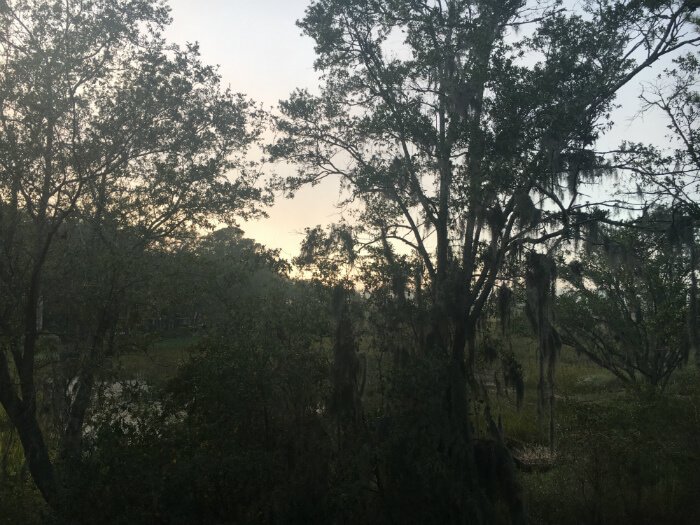 nature photo South Carolina low country Disney's Hilton Head Island resort
