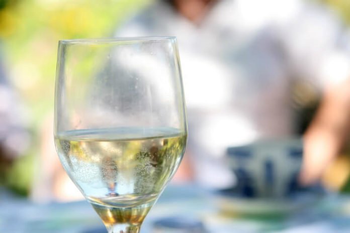 Discounted South Shore Summer Wine Fest at The Hedge House Museum in Boston