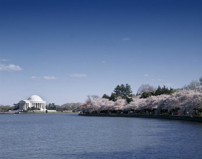 Discount prices for Washington DC cruises, tours, drinking festivals