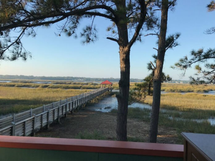 Lowcountry beauty South Carolina Hilton Head Disney Resort