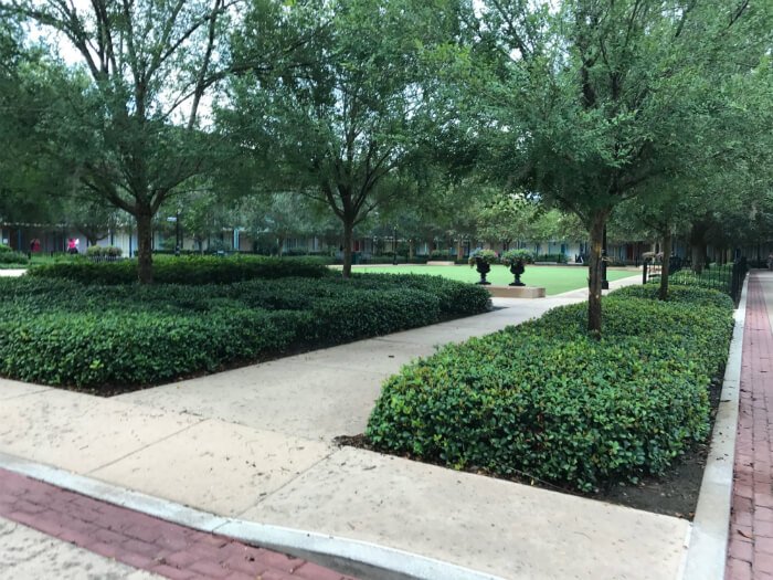 greenery trees bushes shrubs Port Orleans French Quarter disney hotel