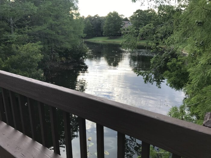 Disney hotel Port Orleans Riverside view of river