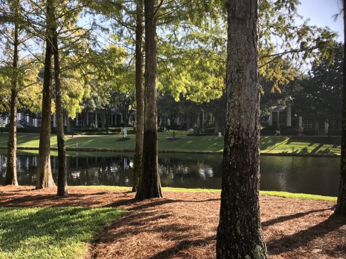 Port Orleans Riverside river trees theming outdoors