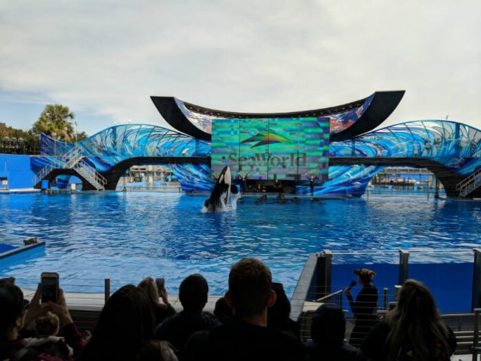 SeaWorld Orlando Florida fun card ticket deal save money