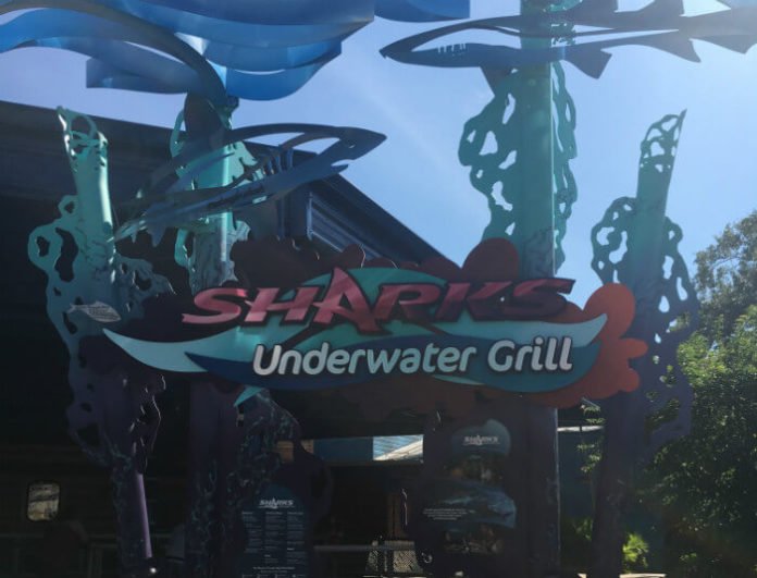 Get free beer at SeaWorld in Orlando & drink specials during happy hour