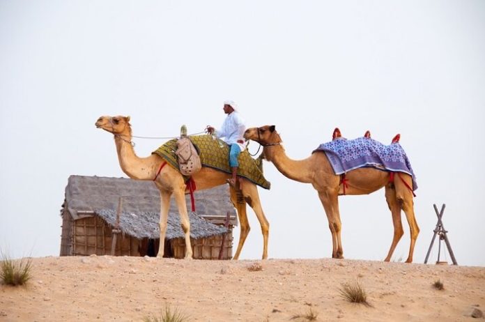 Discount price for Dubai UAE desert & city tour