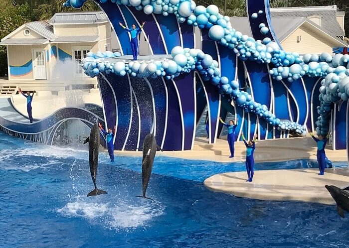 Win A Trip To Seaworld Orlando Green Vacation Deals
