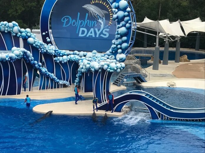 Flash Sale get SeaWorld Orlando as low as $59 lowest prices of year