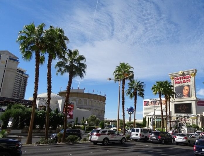 Discount price for Las Vegas hop on, hop off bus tour