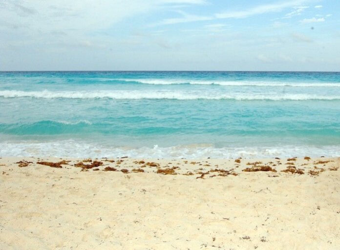 Playa del Carmen Mexico hotels under $100/night