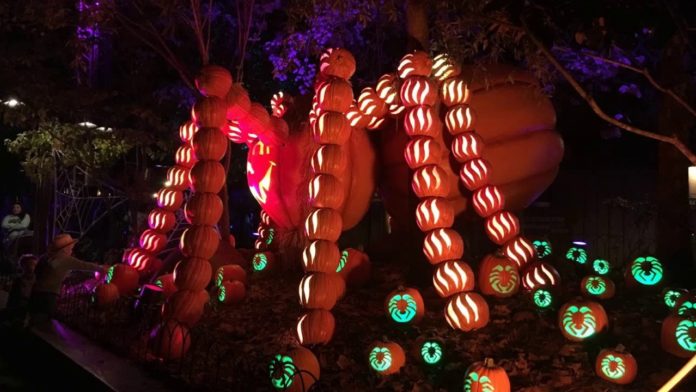 Halloween at Dollywood