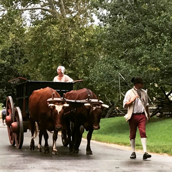 Colonial Williamsburg man & woman in colonial wardrobe with woman in cart