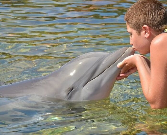 Free dolphin swim at Discovery Cove in Orlando Florida